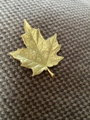 IMG_7815.jpeg