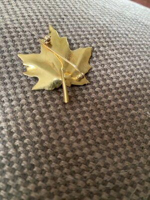 IMG_7816.jpeg