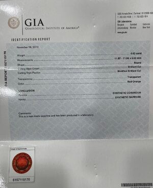 IMG_5916.jpeg