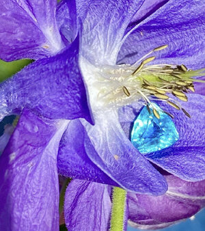 IMG_0395.jpeg
