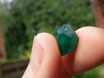 Pyramidal emerald 1.JPG