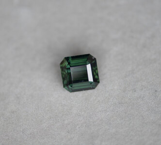 DSC_1020.jpg