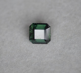 DSC_1022.jpg