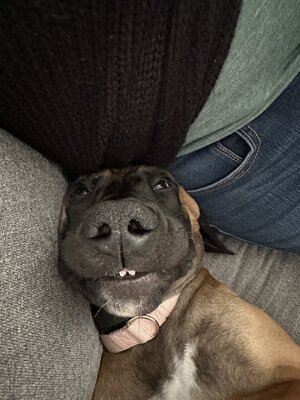 IMG_1016.jpeg