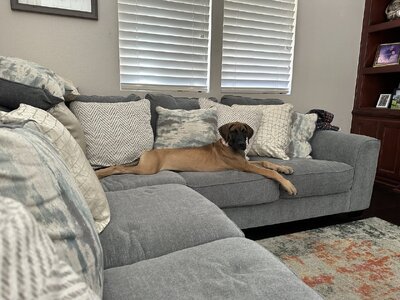IMG_1003.jpeg