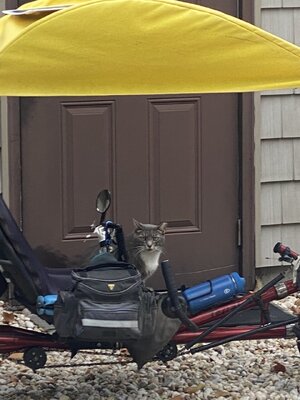 IMG_2060.jpeg