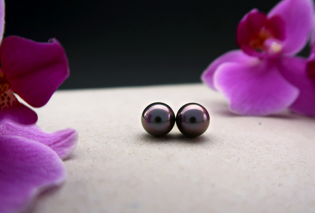 Y_4A_2_MolineAubergines.png