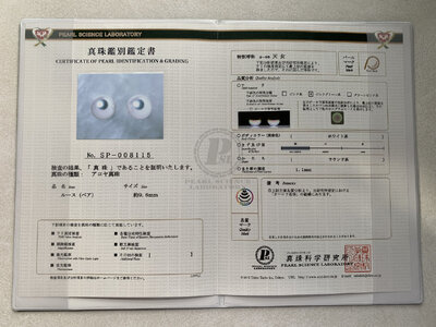 Y_4A_REPORT_9.5-10.jpg
