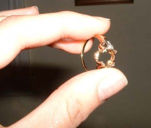 goldring1.jpg