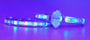 fluor1.jpg