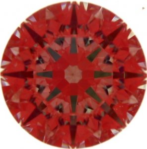 DSCN9683.jpg