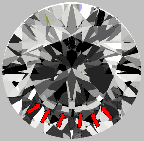 rt_fisheye_hca.gif