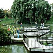aquapan3.jpg