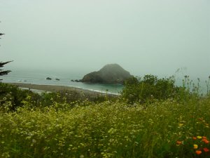 mendo ride b.JPG