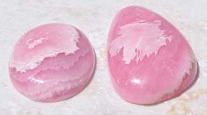 Rhodo1b.JPG