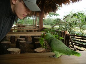 JChiapas.jpg