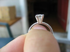 IMG3001small.jpg