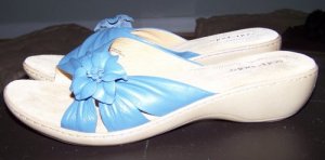 sumbsblueshoes.jpg