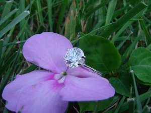 stonewithimpatiens2.JPG