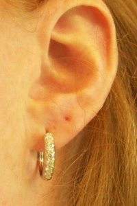 earring2 007 (2).jpg