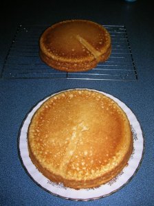 DSCN5752sm.jpg