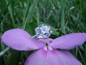 stonewithimpatiens.JPG