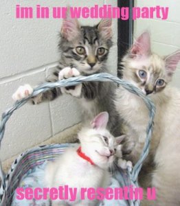 weddingpartylolcat.jpg