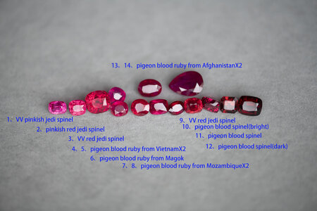 DSC_2279 a.jpg