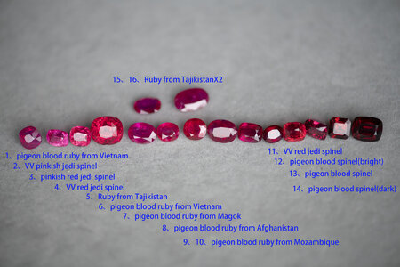 DSC_2281 a.jpg