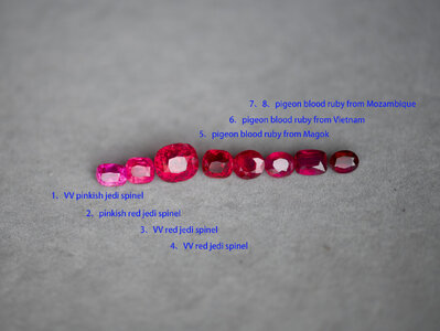 DSC_2289 a.jpg