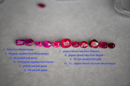 DSC_2309 a.jpg
