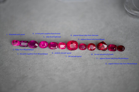 DSC_2313a.jpg