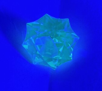 20230909_071313.jpg
