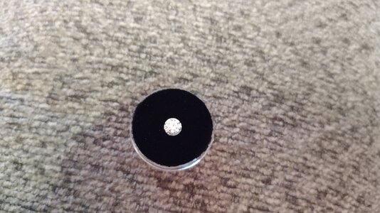 IMG_20230916_120350293.jpg
