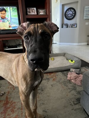 IMG_1331.jpeg