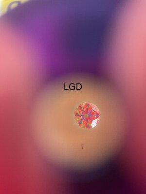 IMG_3544.jpeg
