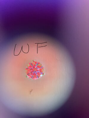 IMG_3539.jpeg