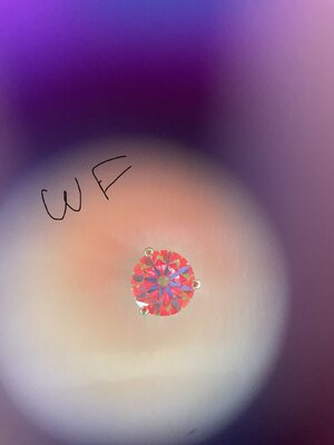 IMG_3537.jpeg