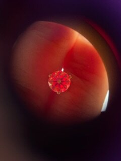 IMG_3555.jpeg