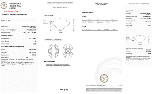 1.17 G VS2 Oval.jpg 1.17 G VS2 Oval.jpg