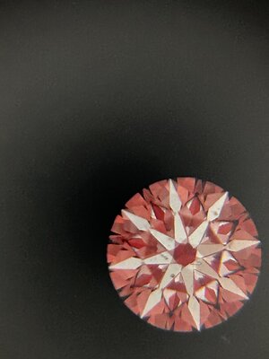IMG_1497.jpeg