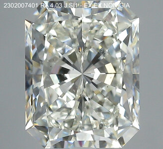 Image_1_2302007401_RA_4.03_J_SI1_-_EX_EX_NON_GIA[1].jpeg