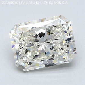 Image_2_2302007401_RA_4.03_J_SI1_-_EX_EX_NON_GIA[1].jpeg