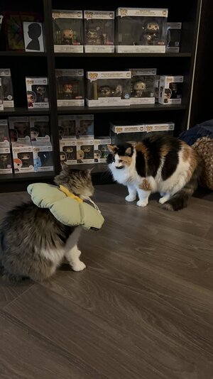 IMG_8817.jpeg