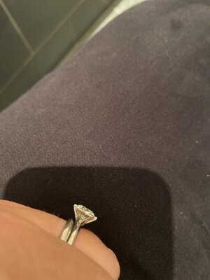 IMG_8124.jpeg