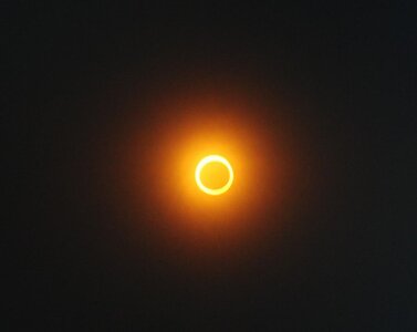 IMG_7763.jpeg