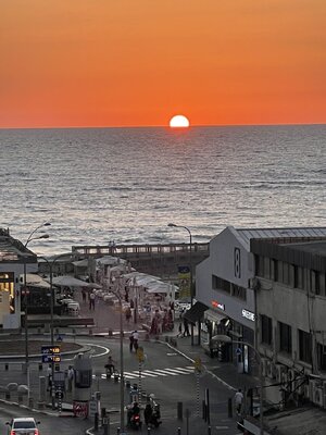 IMG_1569.jpeg
