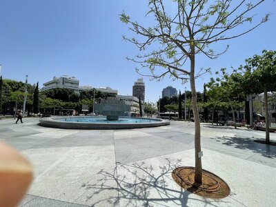 IMG_1552.jpeg