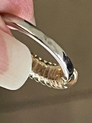 IMG_1951.jpeg