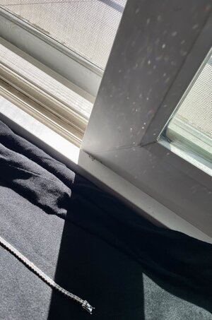 IMG_3844.jpeg
